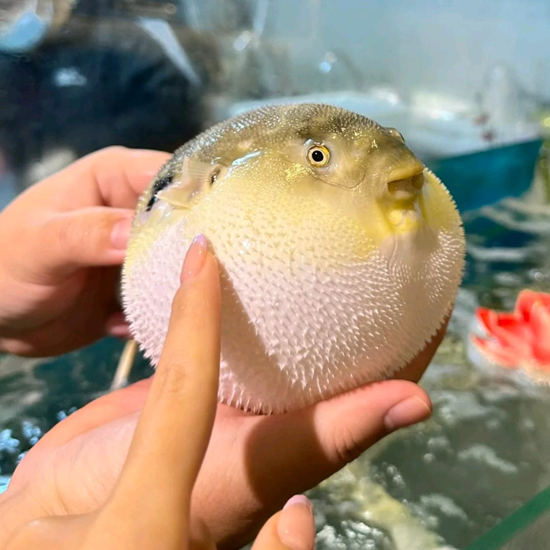 春翠赶海民宿（有问题私信我）