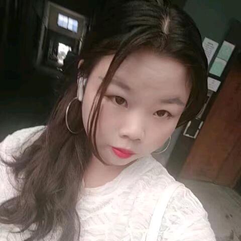 建宝与菲宝永结同心