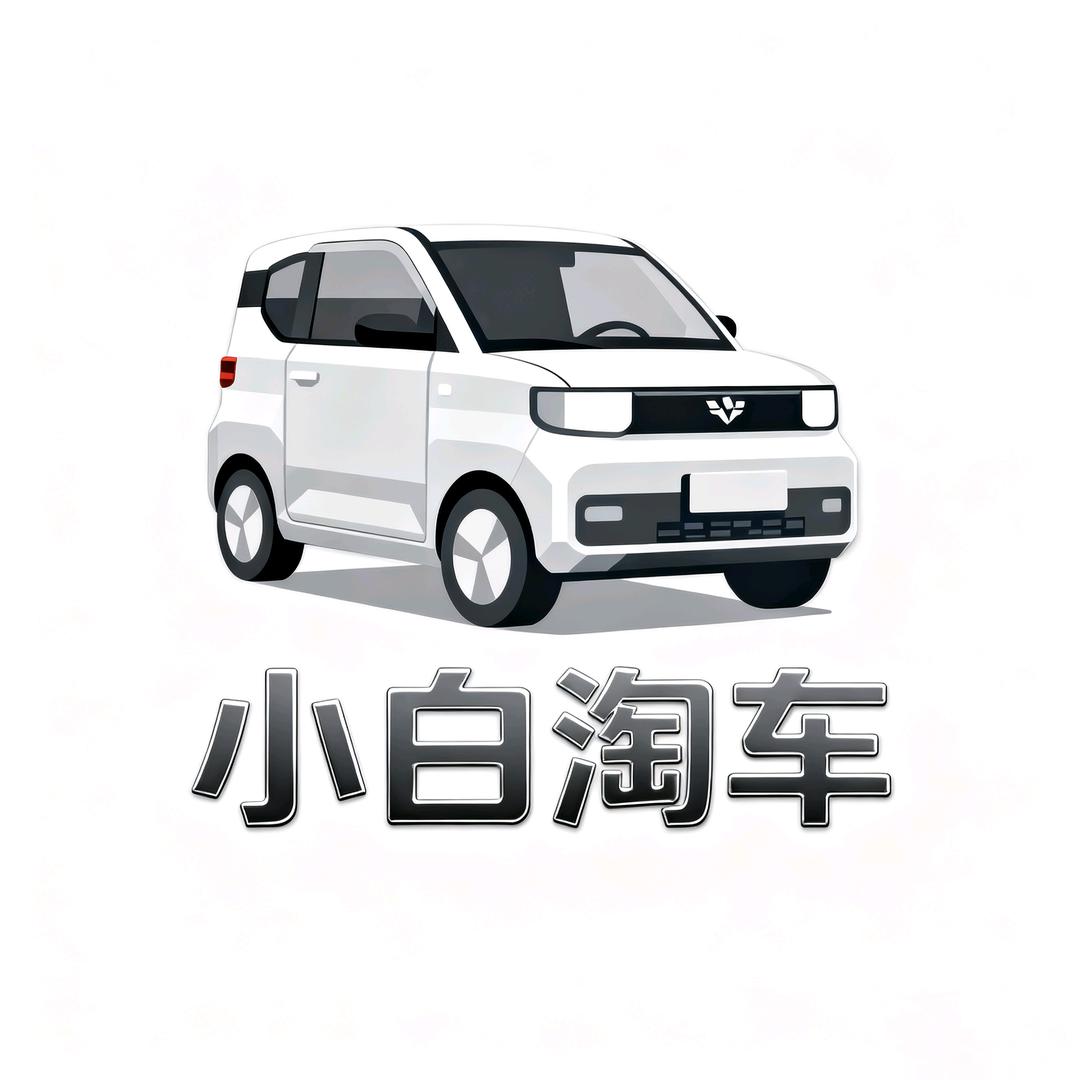 小白淘车