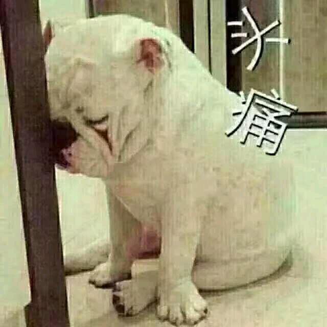 5678