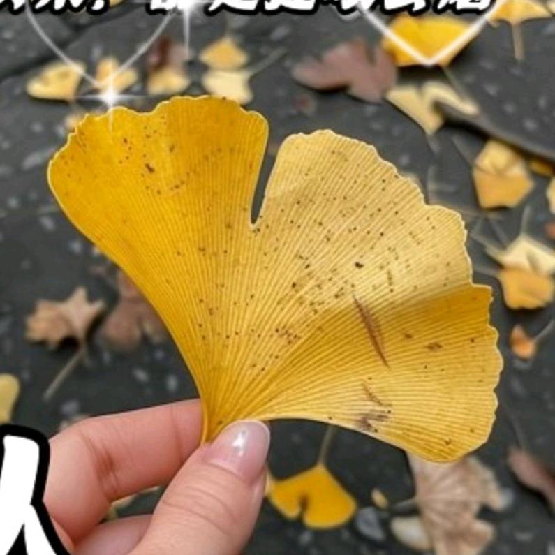 平安 喜乐