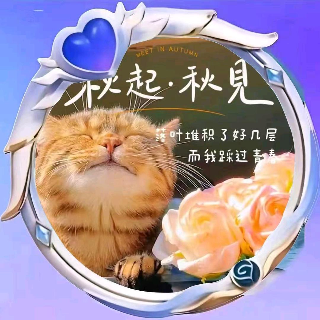 安安静静做个好人