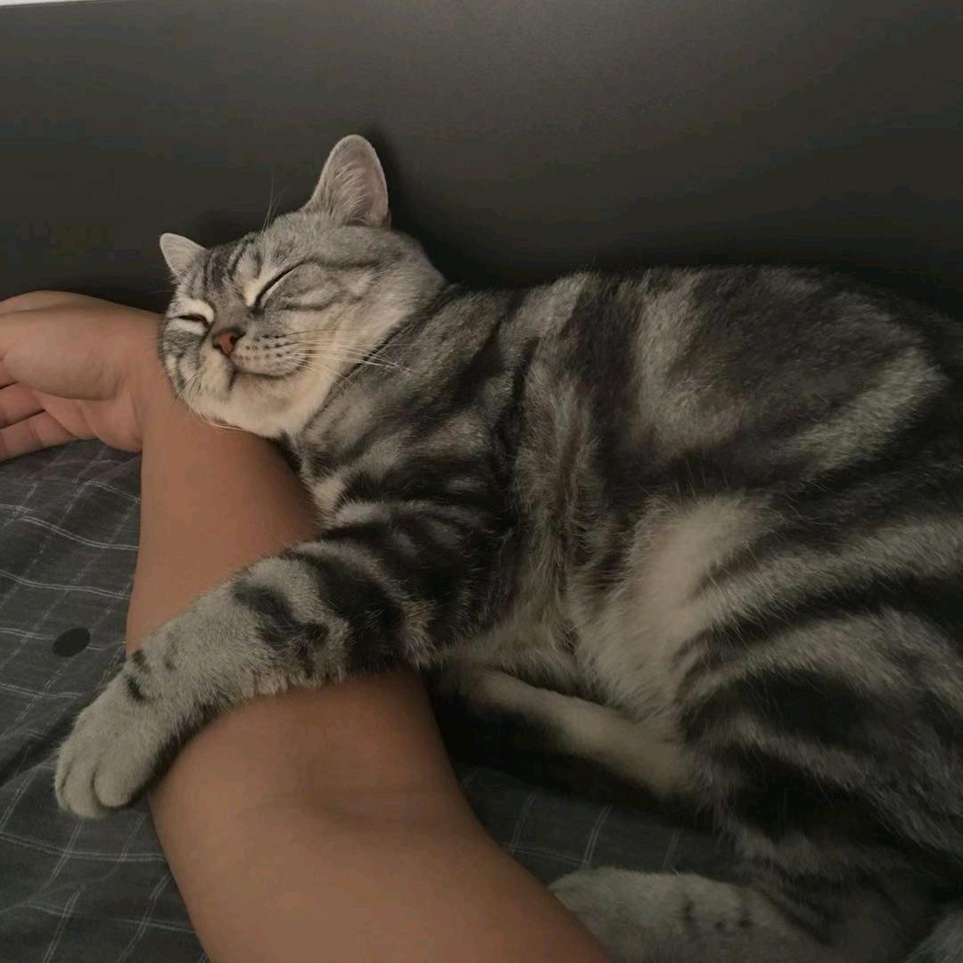 滴滴哒滴答