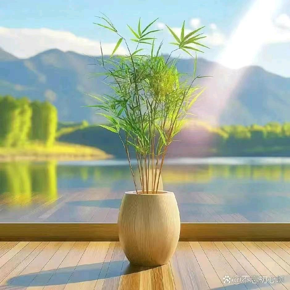 静 悟