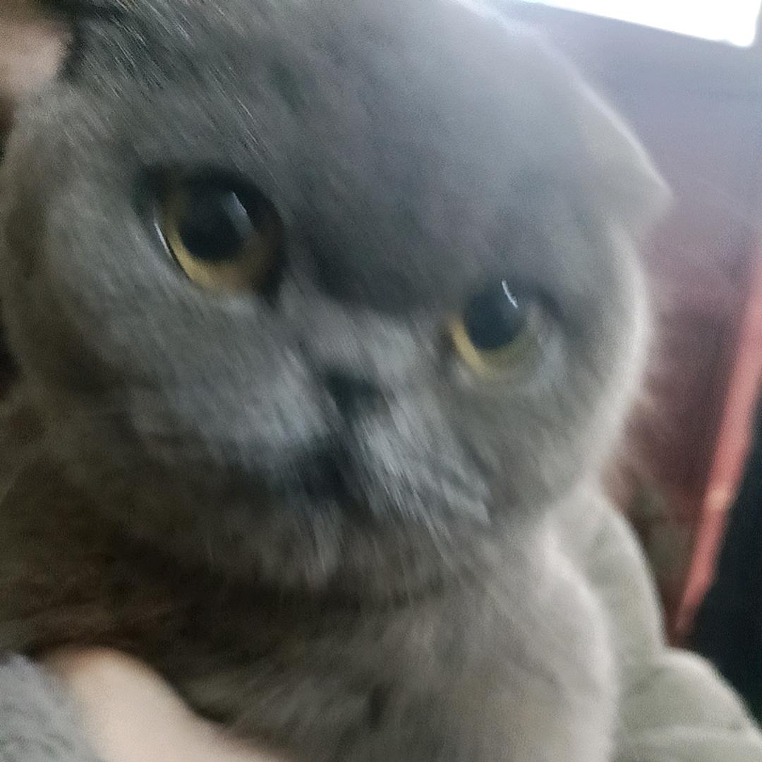 用户365489688