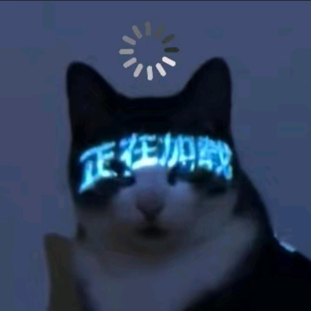 正在加载中