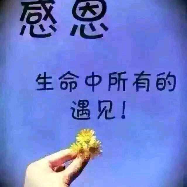亮哥