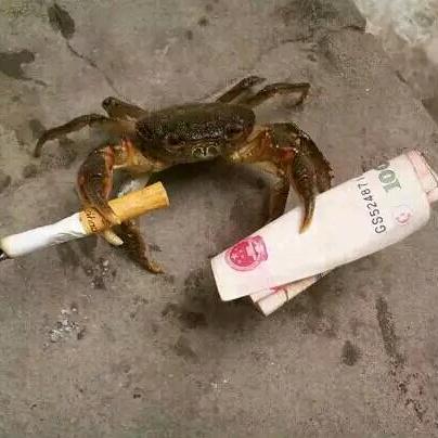 时间都去那了！！！