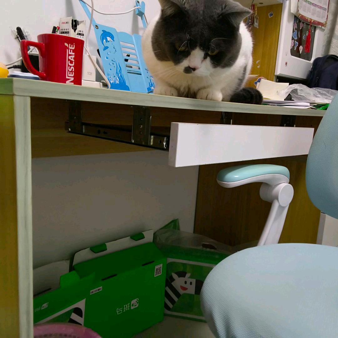 @TABLE(车友回关)