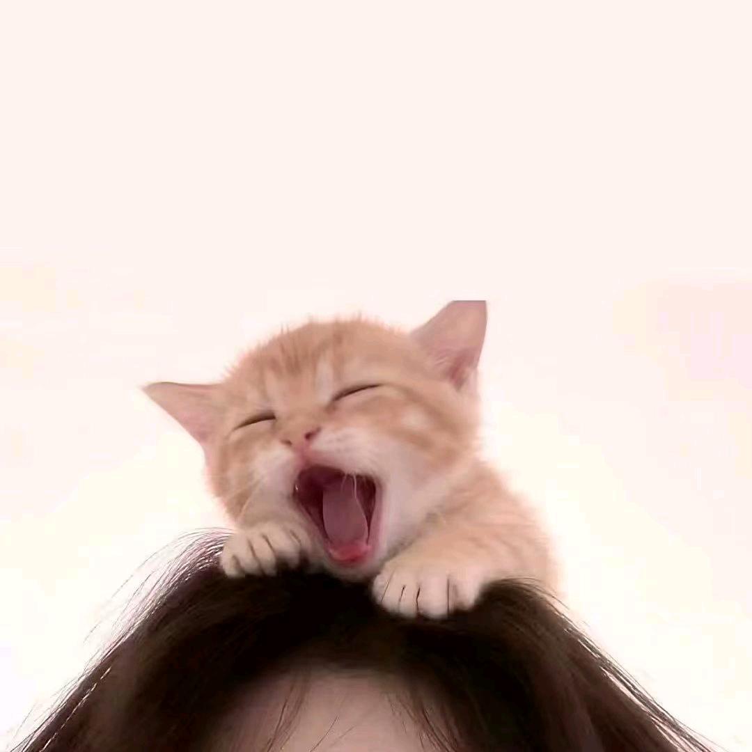 炎柱（封票版）