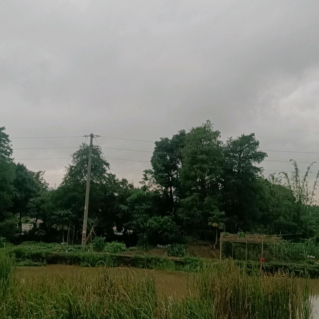 等等吧