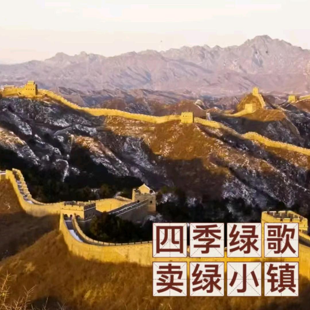 四季绿歌