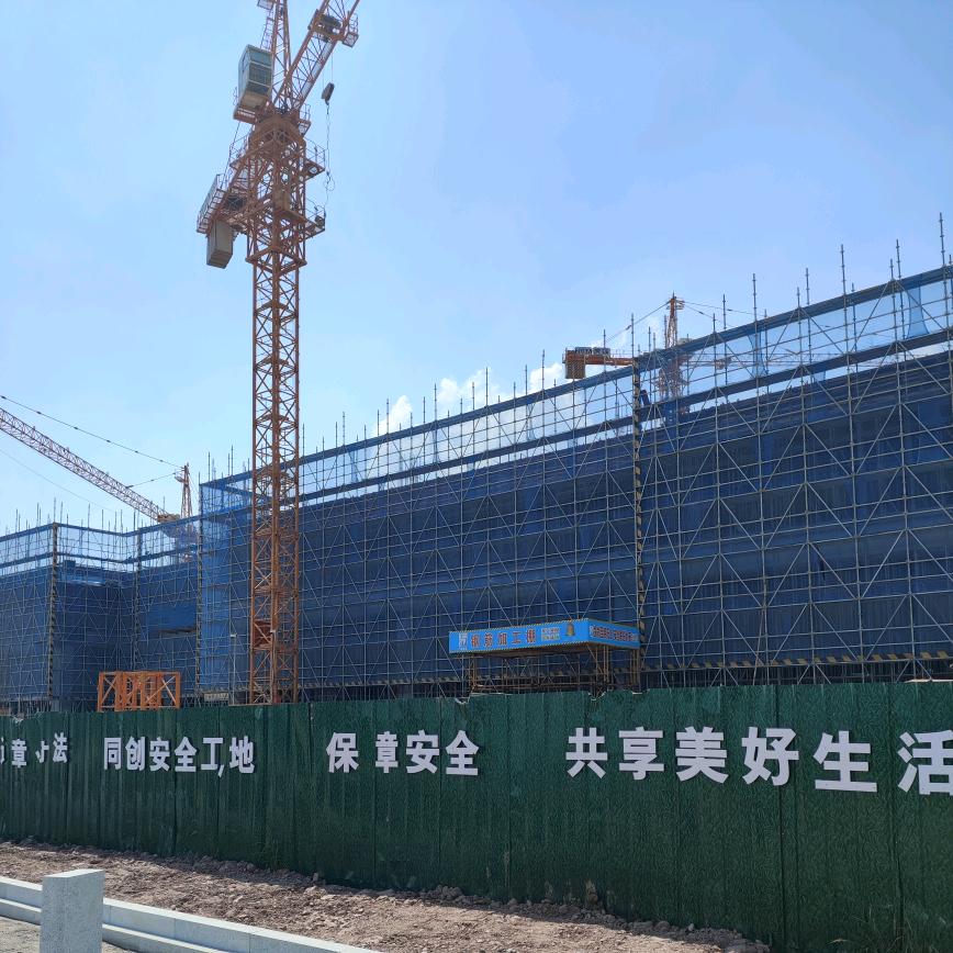 我愿一生追随你