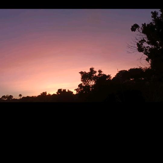 赤岗山-((荔枝之乡))