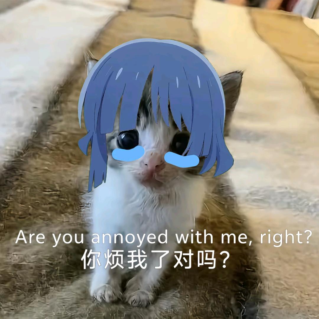 Aaa孙绍峻实名上网