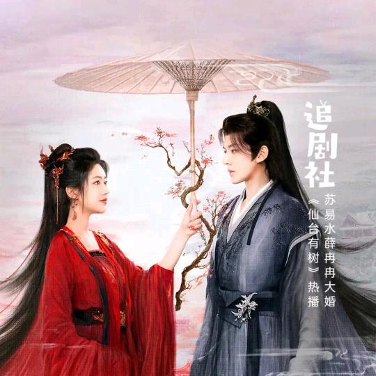 🐭搀扶🤝🤝🌴🌴🌴