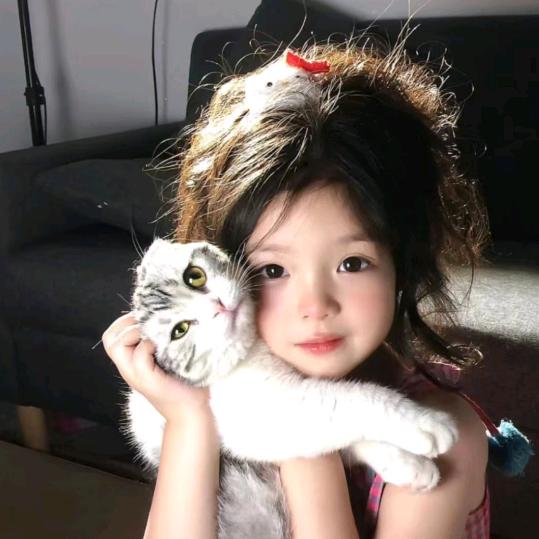 豆子