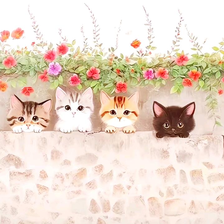 🖊阳光