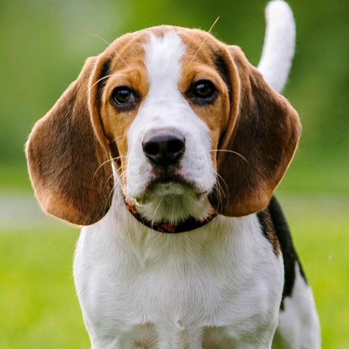 💗💗