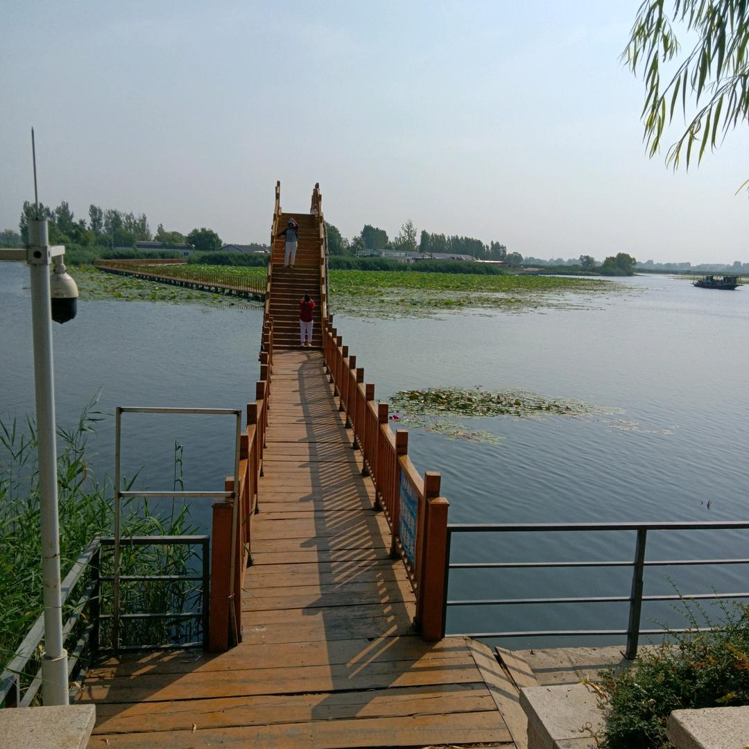 师傅老贺