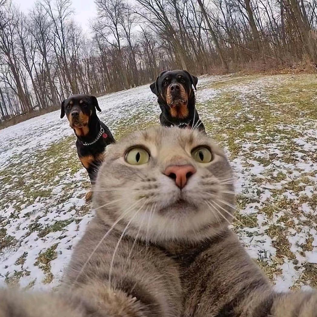 圣痕师（洛克王国）