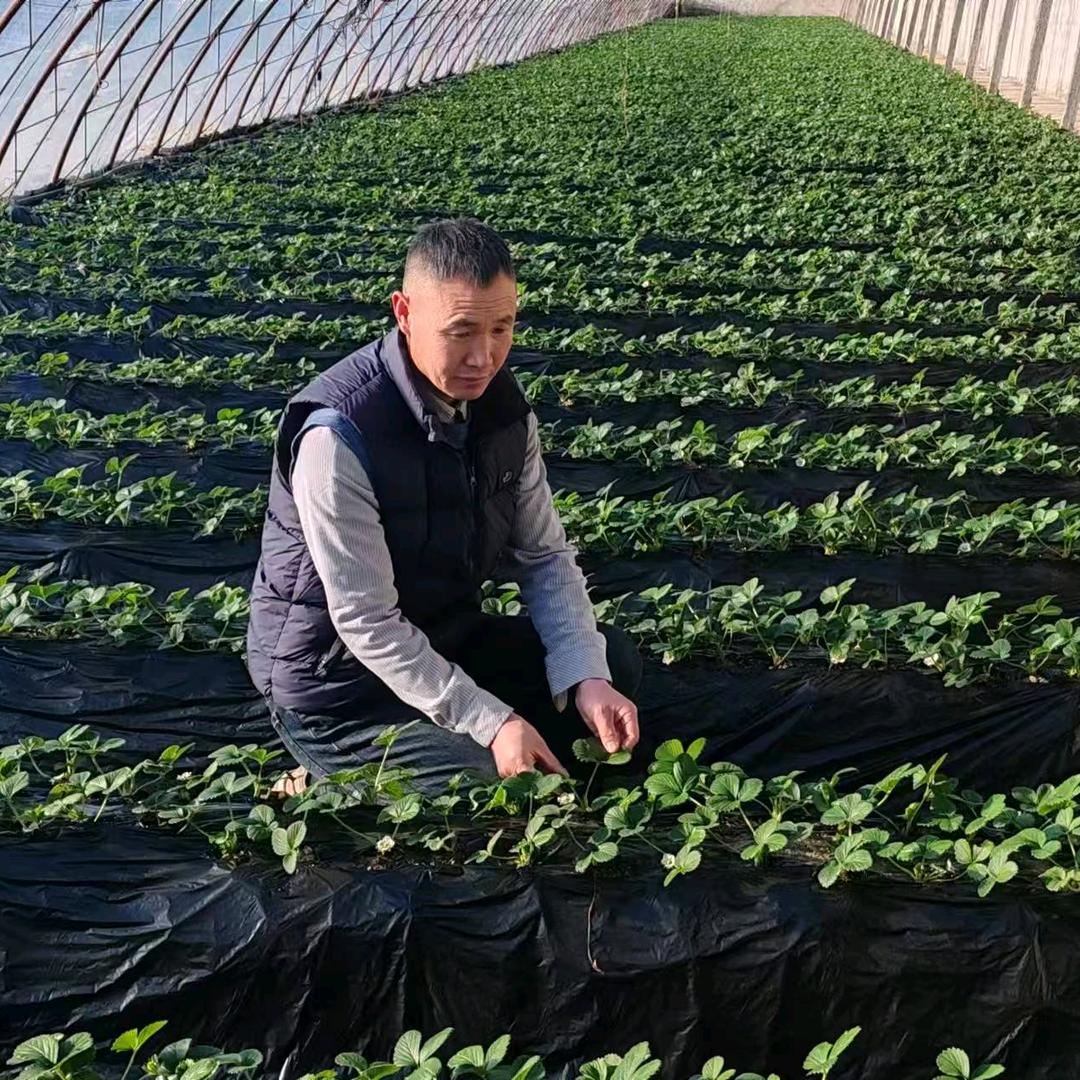 察布查尔锡伯自治县助三农家庭农场