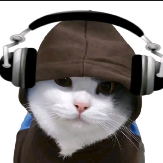 失眠专属音乐🎶