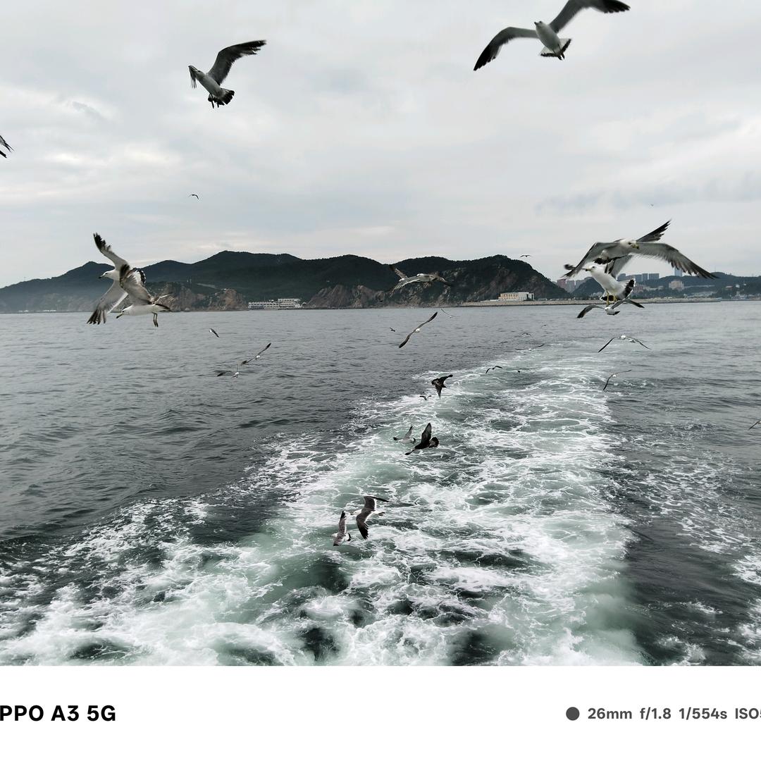 北京俊杰伟业机械租赁有限公司