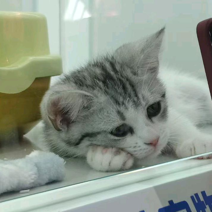 白晓暮不会吃饭