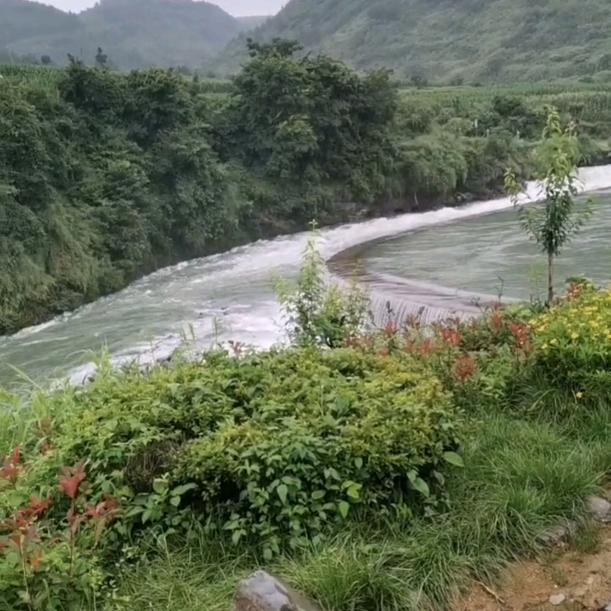 简简丹丹