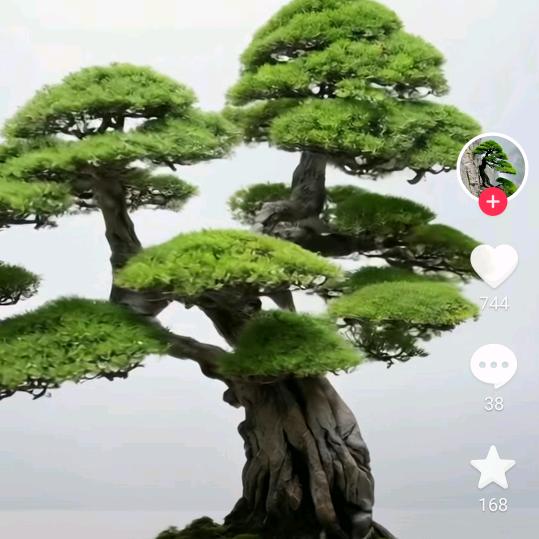 (ಡωಡ) 钱途似锦(ಡωಡ)