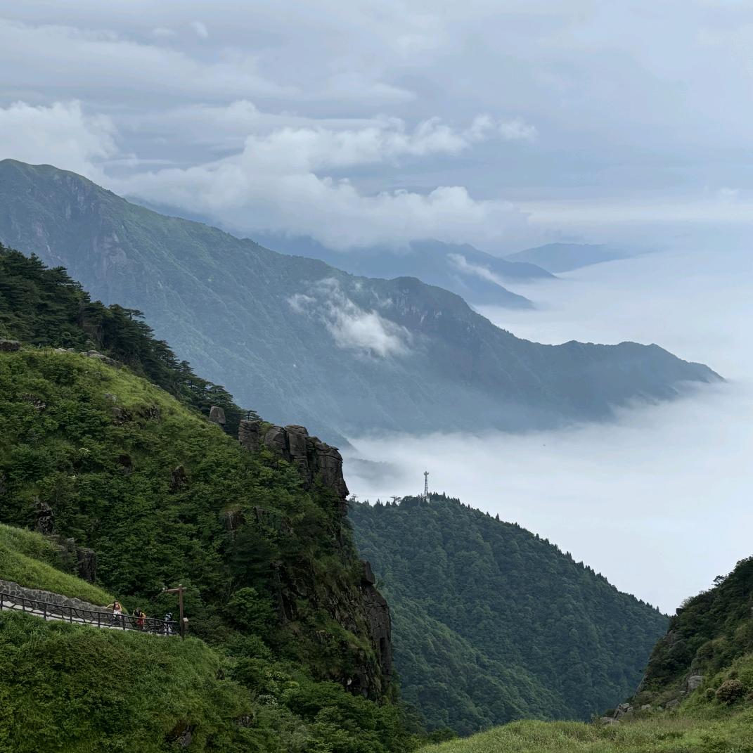 桂花酒与老少年