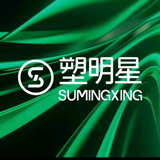 塑明星沈阳丽姐