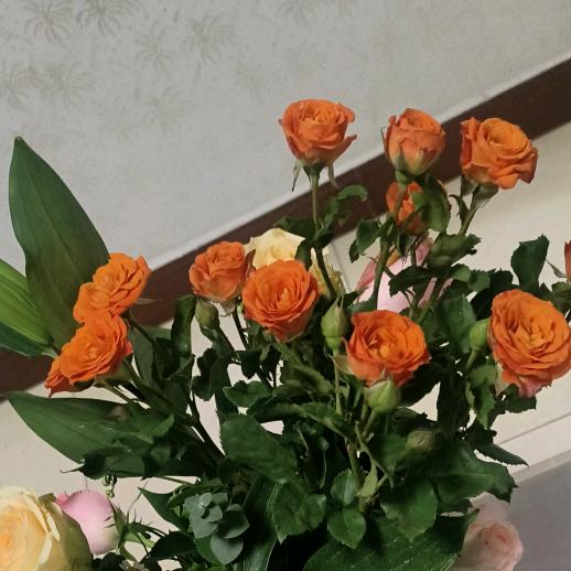 余生请多多指教