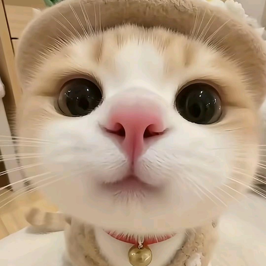 故人