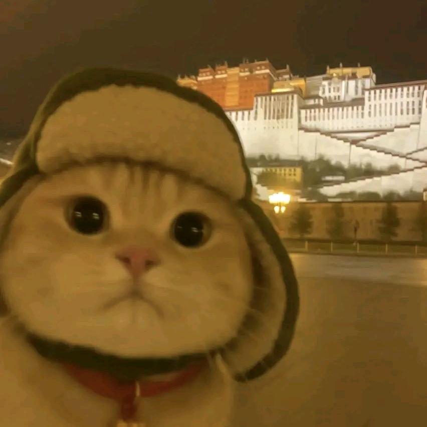 唯一.
