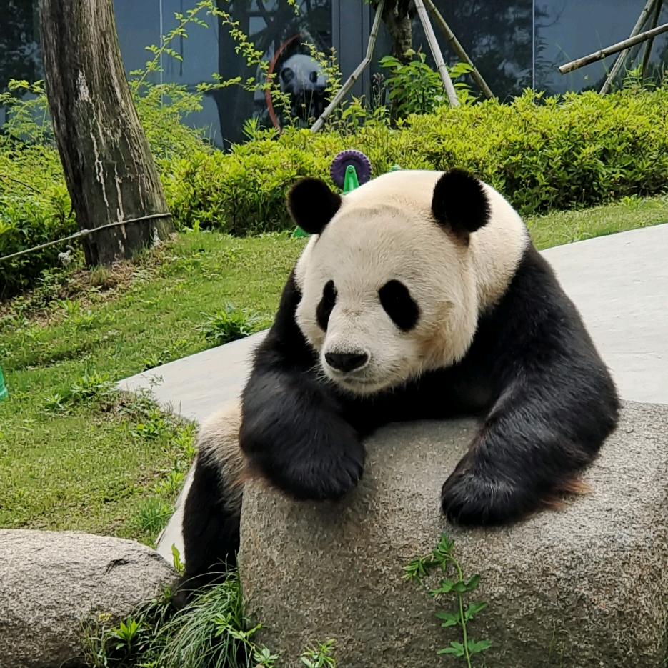 ★☆。.:*:･”ﾟ★βyёヾ(*ﾟ∇ﾟ