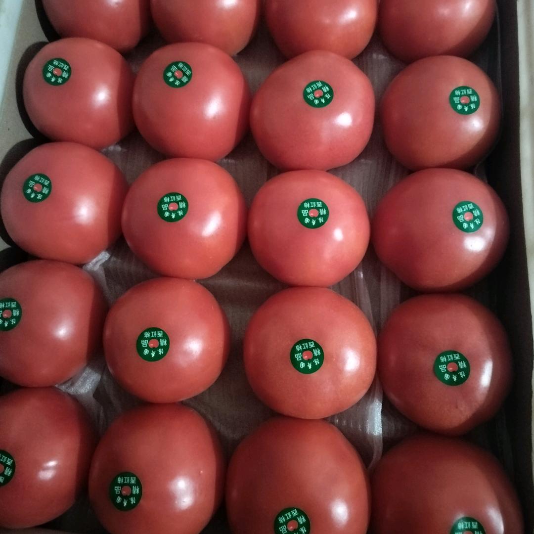 菏泽精品蔬菜（资深买办，产区直采）