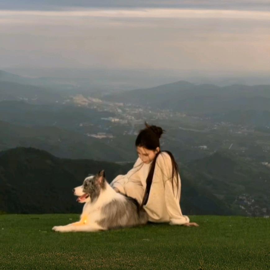 外贸家z.blues直播爆款