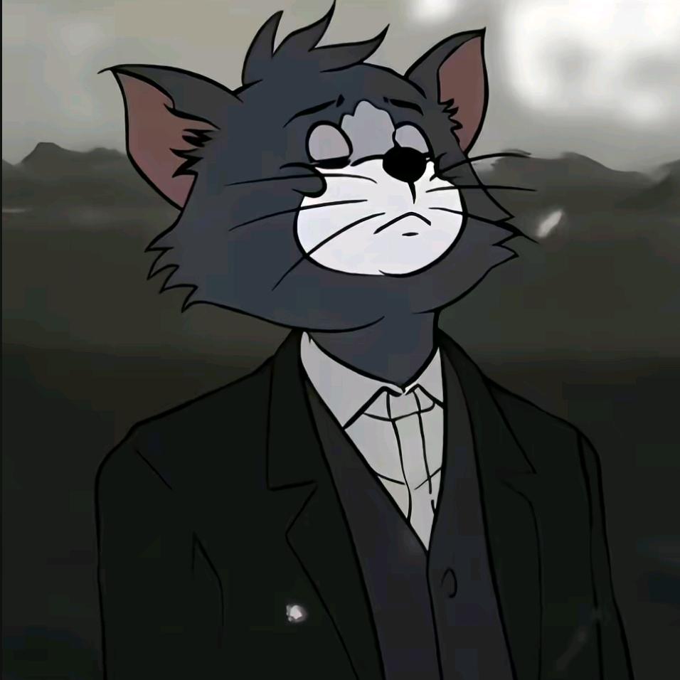 汤姆猫先生