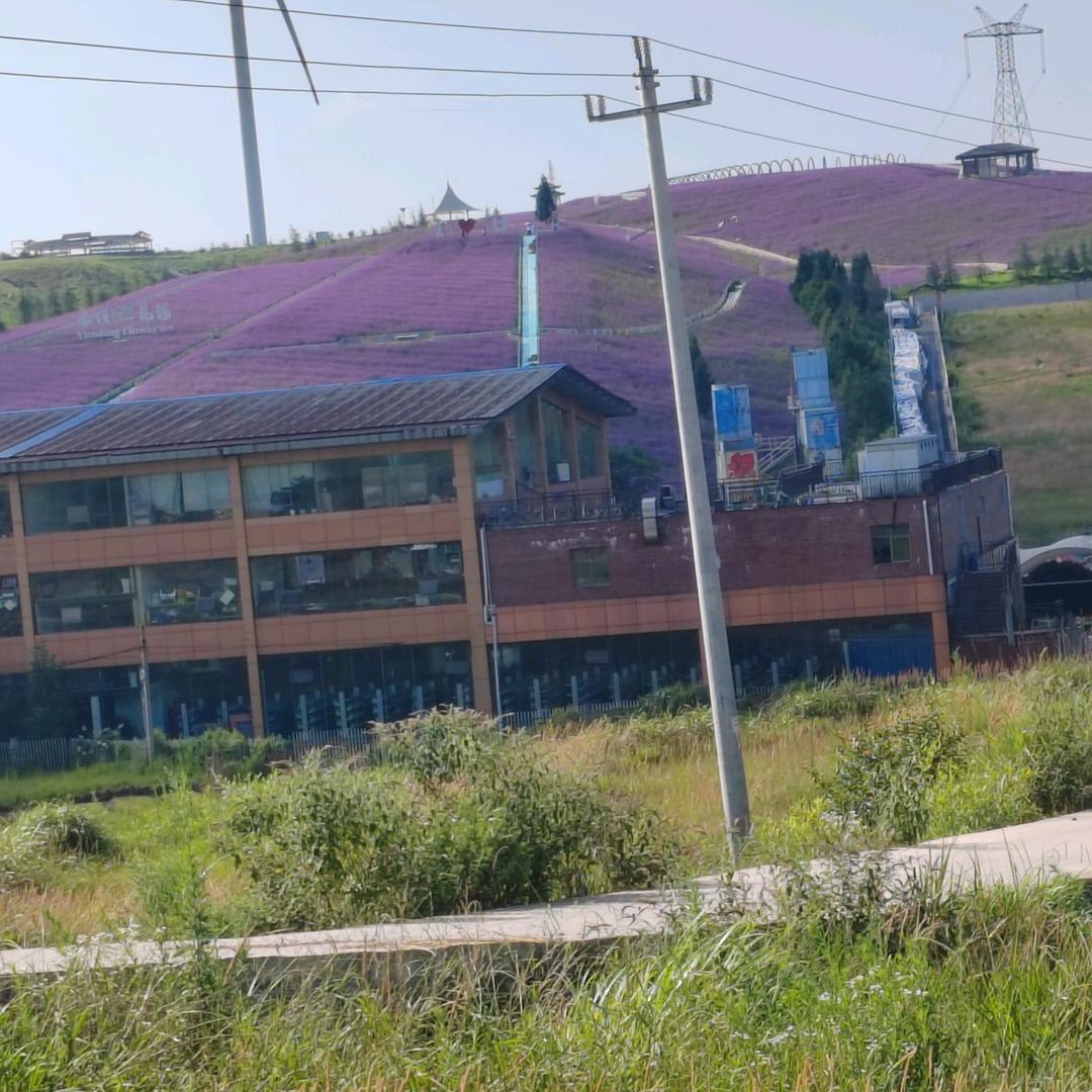 网约车（老苏）