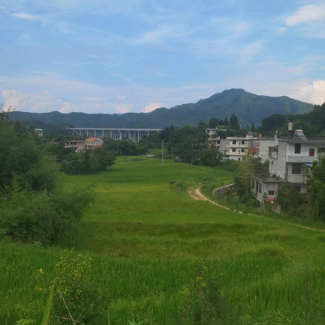 🐡金运满兜🐲🐁🐠🐟🐬🐳🐋