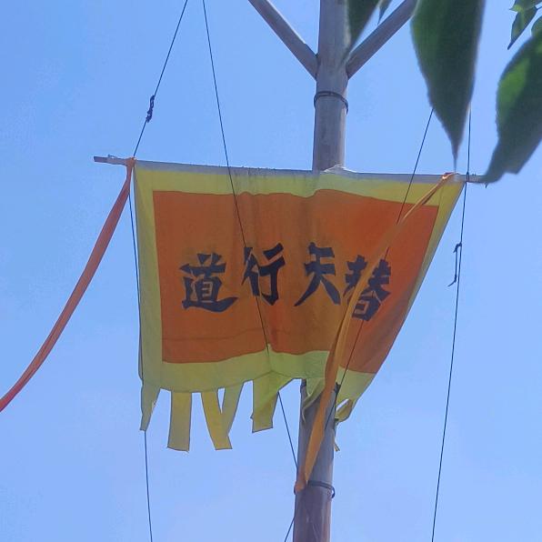 我命由我不由天