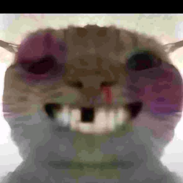 炼真