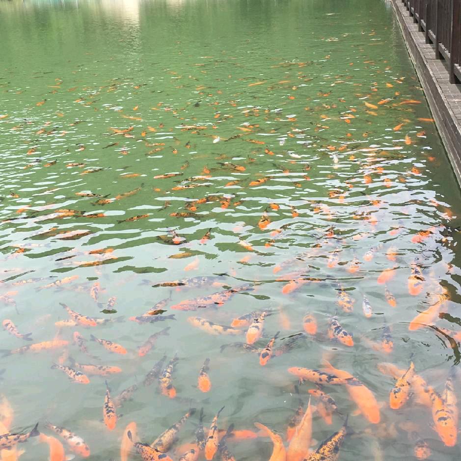 丽丽姐