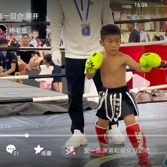 杨毛豆