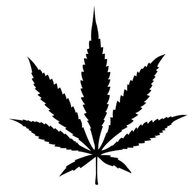 长毛