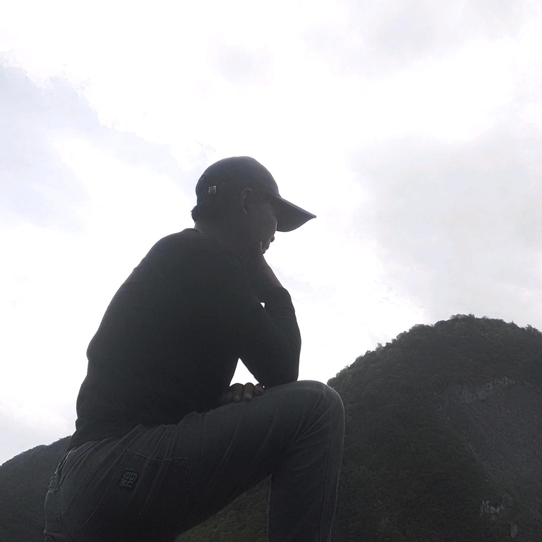 理智哥