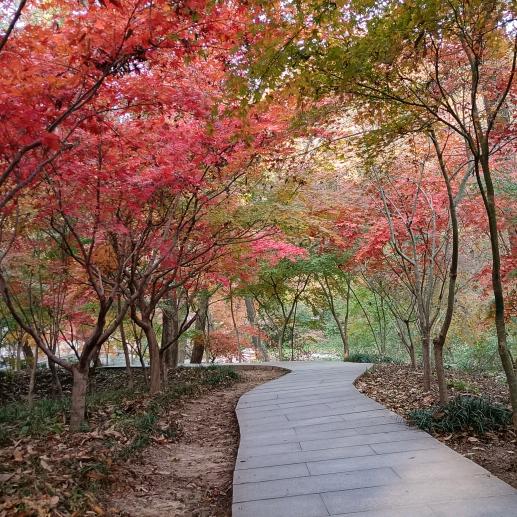 军哥。顺其自然。