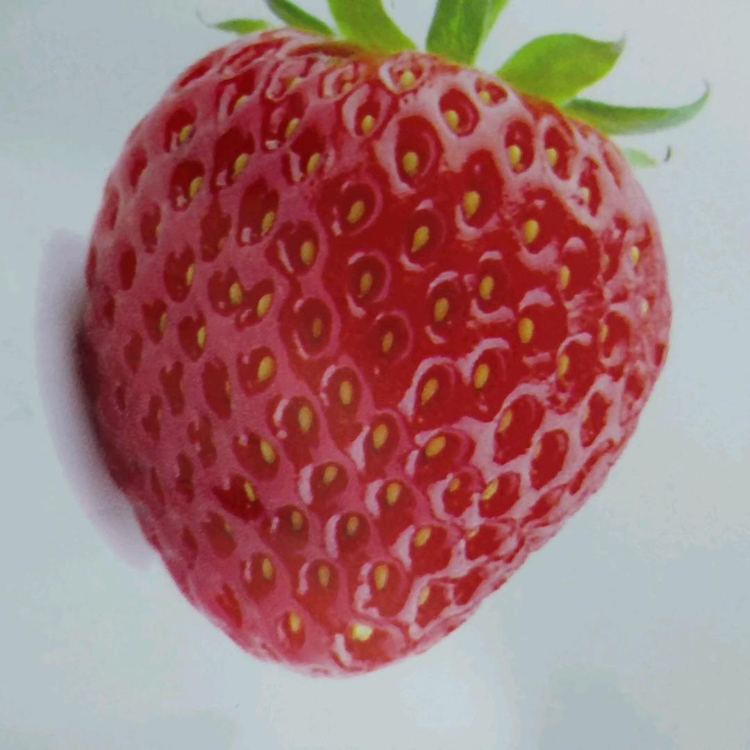 跟着感觉走